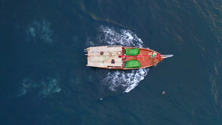 قارب صيد قديم في البحر الأحمر، لقطة جوية.