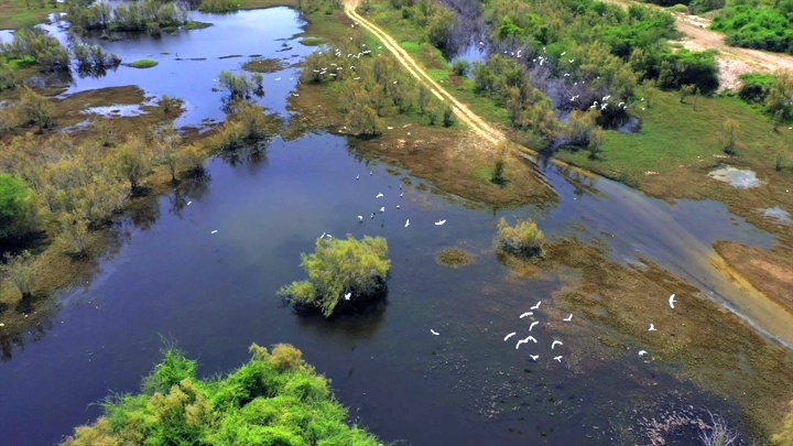 منظر جوي لوادي حلي مع طيور تحلق فوق المياه والطبيعة الخضراء.