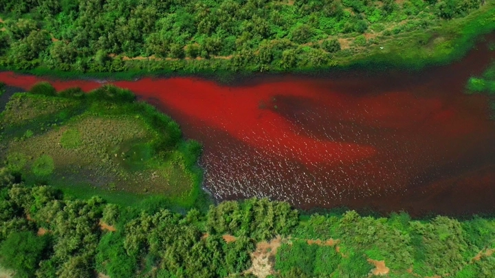 نهر ملون بالأحمر في وادي حلي، لقطة جوية.