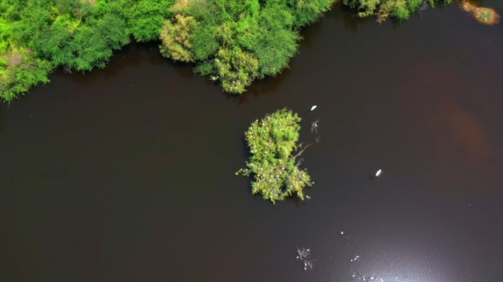 نهر في وادي حلي مع جزيرة صغيرة، لقطة جوية.