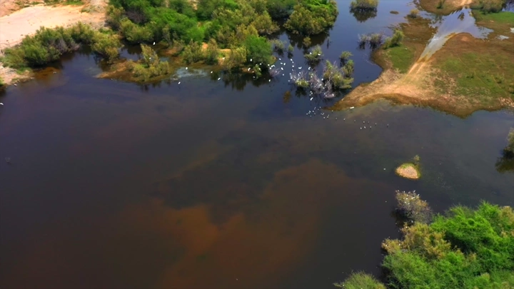 منظر جوي لوادي حلي مع مياه ونباتات خضراء، لقطة من طائرة الدرون .