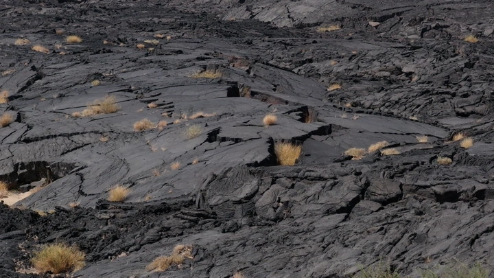 سطح حمم بركانية متجمدة مع نباتات متناثرة، لقطة جوية .