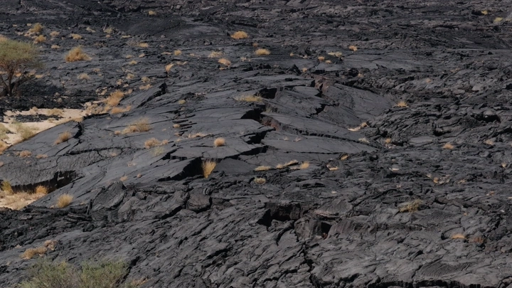 تضاريس حمم بركانية سوداء مع نباتات متناثرة، لقطة جوية .