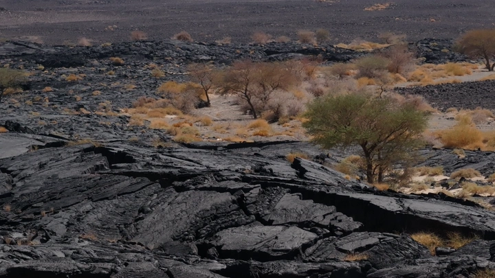 تضاريس بركانية مع أشجار متناثرة، لقطة طبيعية.