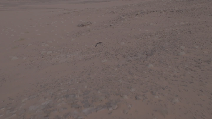 طائر يحلق فوق صحراء قاحلة، لقطة جوية.