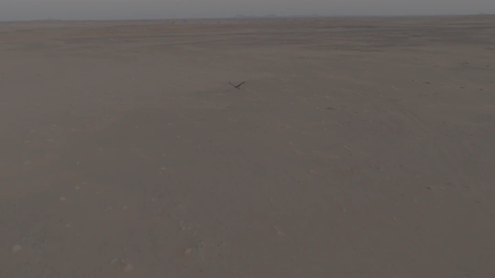 طائر يحلق فوق صحراء شاسعة، لقطة جوية.