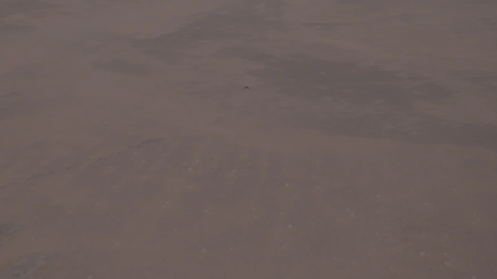 طائر يحلق فوق صحراء واسعة، لقطة جوية.