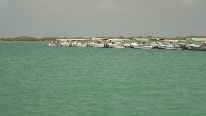 قوارب مصطفة في مرسى على البحر، لقطة نهارية.