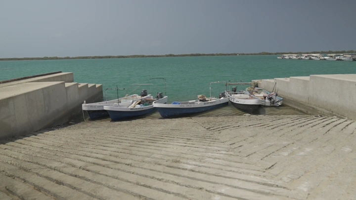 قوارب صيد على منحدر في ميناء هادئ، لقطة نهارية.