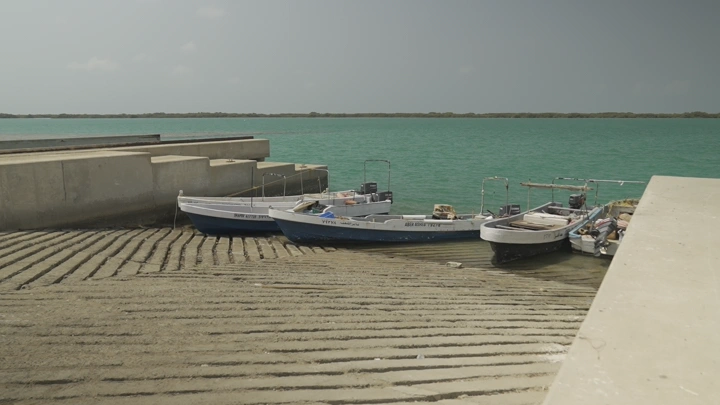 قوارب صيد على شاطئ البحر تحت السماء الصافية، لقطة نهارية.