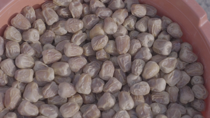 تمور في وعاء بلاستيكي، لقطة مقربة.