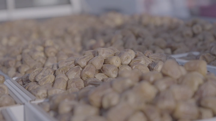 تمر معروض في سوق خارجي، لقطة قريبة.