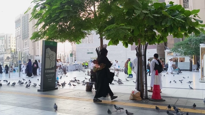 Pilgrims in the courtyard of the Grand Mosque in Mecca with flying pigeons, a daytime shot.