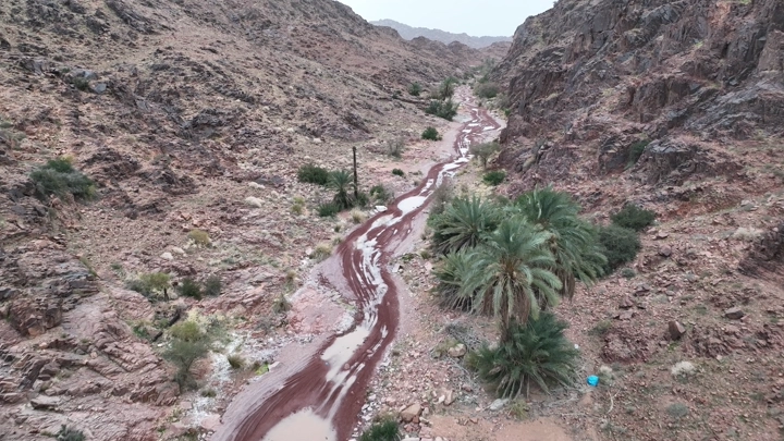 طريق جبلي بعد المطر مع تجمعات مائية، لقطة جوية.