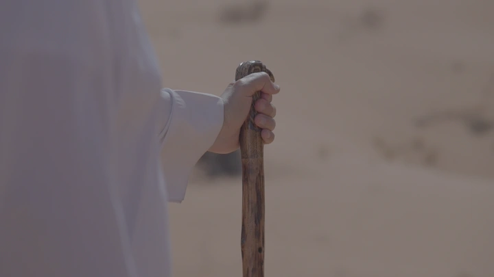 يد رجل تحمل عصا في الصحراء، لقطة مقربة.