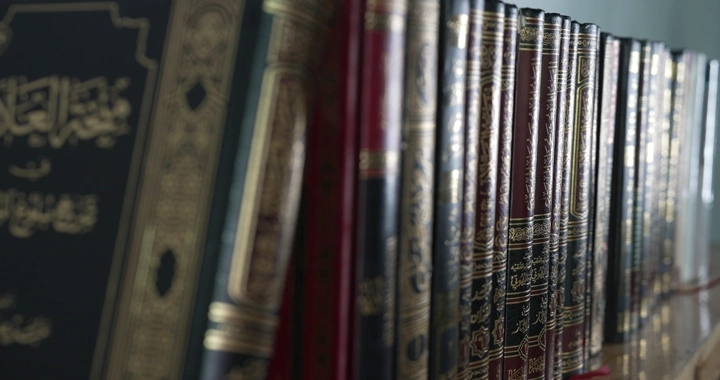 مجموعة كتب مرتبة على رف خشبي، لقطة قريبة.