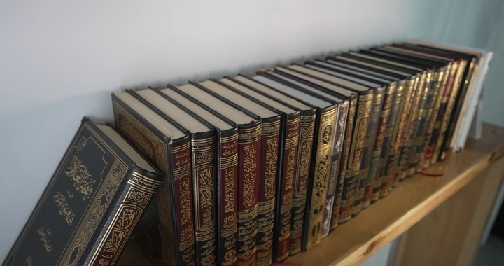 رمجموعة كتب مرتبة على رف خشبي، لقطة قريبة.