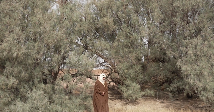 رجل يرتدي عباءة يمشي بين الأشجار في يوم غائم، لقطة طبيعية.