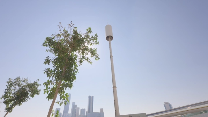 Communication tower in a city with trees in the foreground, low-angle shot.