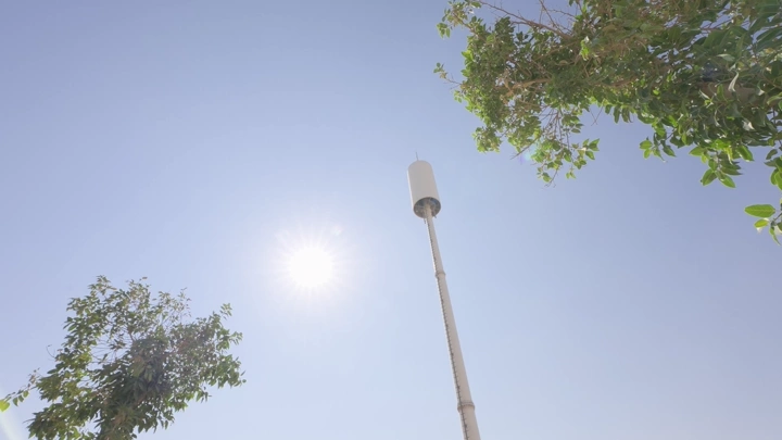 برج اتصالات بين الأشجار في يوم مشمس، لقطة من الأسفل.