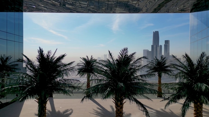 أشجار نخيل أمام أفق الرياض، لقطة نهارية واسعة.
