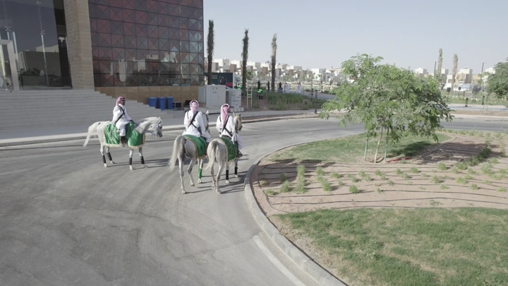 فرسان على خيول بيضاء في شارع مدينة نهاراً، لقطة جوية.