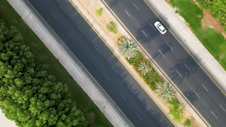 شارع مع نخيل وسيارة ، لقطة جوية.