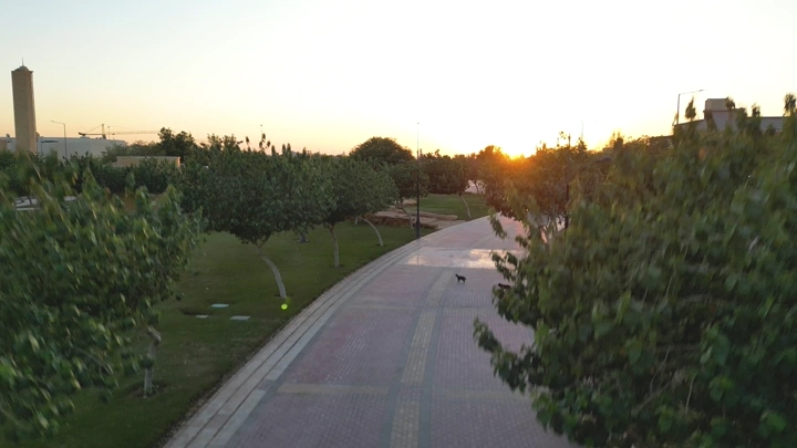 حديقة في الرياض عند الغروب، لقطة جوية.