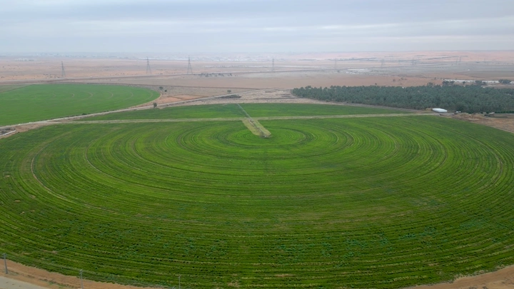حقل دائري أخضر في الصحراء، لقطة جوية.