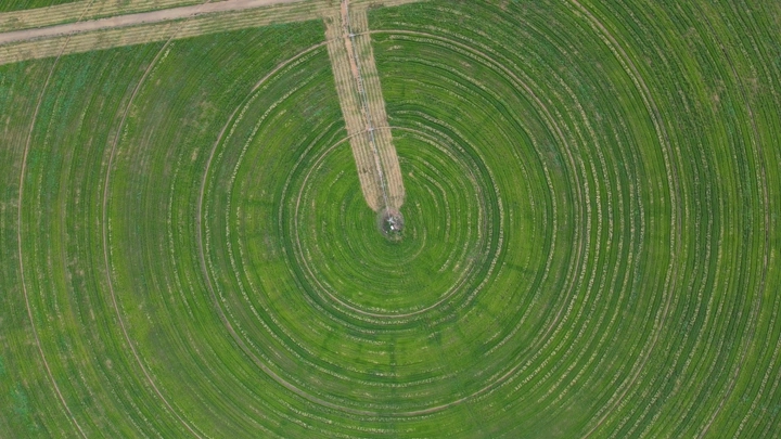 حقل دائري أخضر في مزرعة، لقطة جوية.