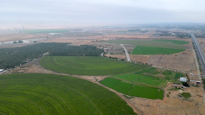 مزارع خضراء واسعة في منطقة صحراوية، لقطة جوية.