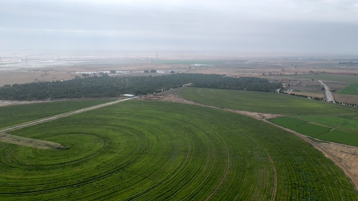 حقول زراعية دائرية في يوم غائم، لقطة جوية.