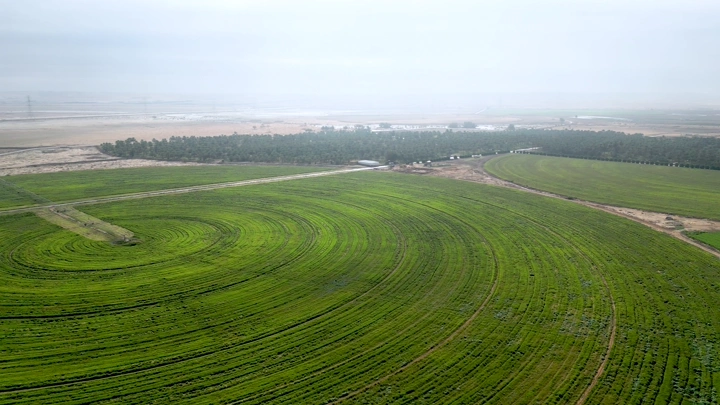 حقول خضراء واسعة في يوم غائم، لقطة جوية.