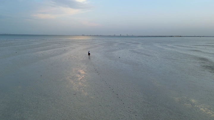 حصان وخيال على شاطئ الدمام، لقطة جوية.