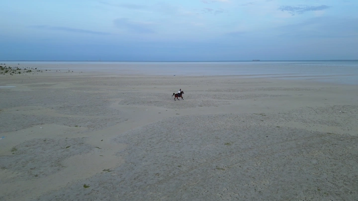 حصان وخيال على شاطئ الدمام، لقطة جوية.