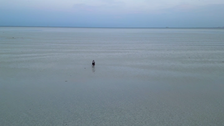 حصان وخيال على شاطئ الدمام، لقطة جوية.