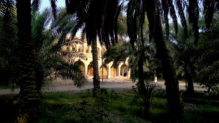 قصر تاريخي بين أشجار النخيل في الأحساء، لقطة نهارية.