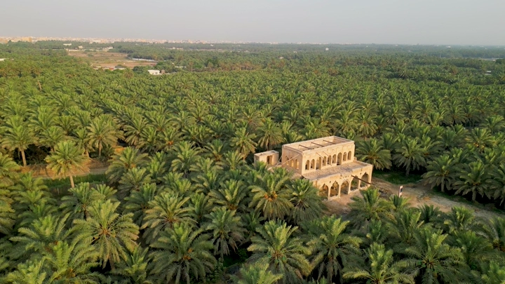 قصر وسط مزرعة نخيل في الأحساء، لقطة جوية.