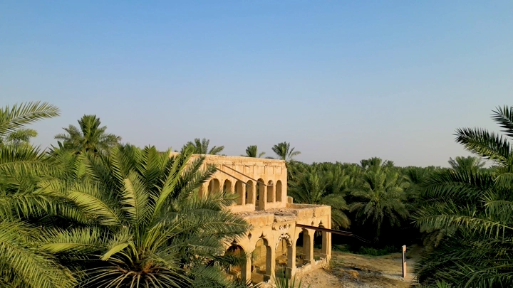 قصر تاريخي وسط مزرعة نخيل في الأحساء، لقطة جوية .