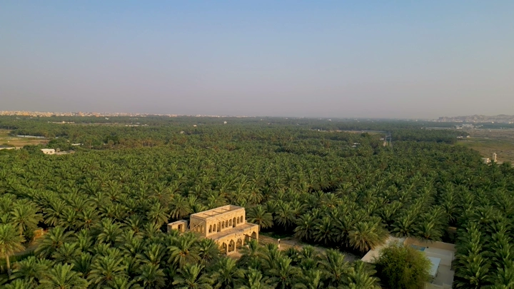 قصر وسط مزرعة نخيل في الأحساء، لقطة جوية.