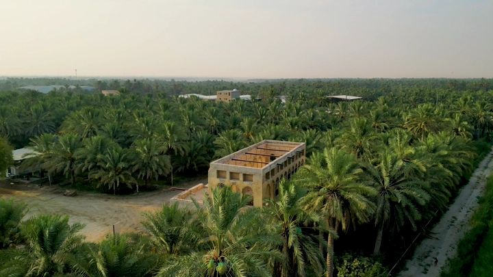 قصر مرضية وسط مزرعة نخيل في الأحساء، لقطة جوية.