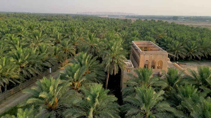 قصر مرضية وسط مزرعة نخيل في الأحساء، لقطة جوية.