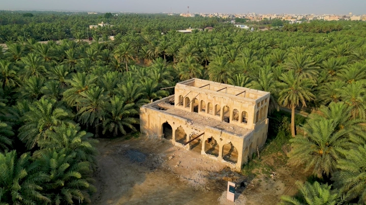 قصر مرضية التراثي وسط مزرعة نخيل في الأحساء، لقطة جوية.
