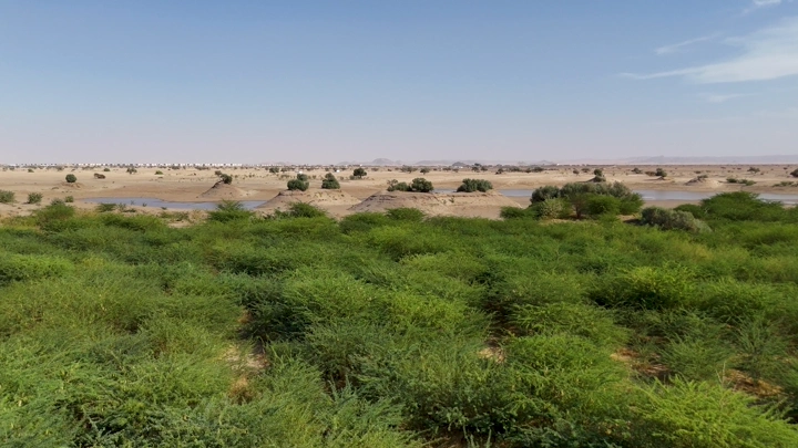 بحيرة نجران محاطة بالخضرة والصحراء، لقطة نهارية واسعة.
