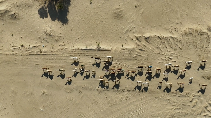 مجموعة من الجمال في الصحراء، لقطة جوية.