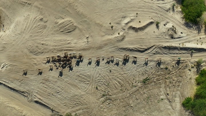 قطيع ماشية في صحراء من منظور علوي، لقطة جوية.