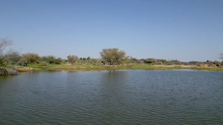 بحيرة محاطة بالأشجار في بئر عسكر نجران، لقطة نهارية.