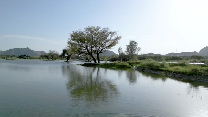 منظر طبيعي لبحيرة وأشجار في بئر عسكر نجران، لقطة نهارية.