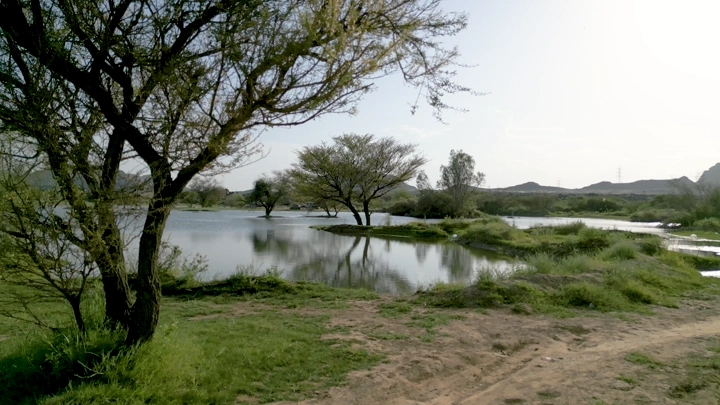 منظر طبيعي في بئر عسكر نجران مع بحيرة وأشجار، لقطة نهارية.