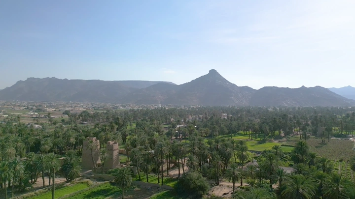 نخيل بين بيوت طين في نجران، لقطة جوية .